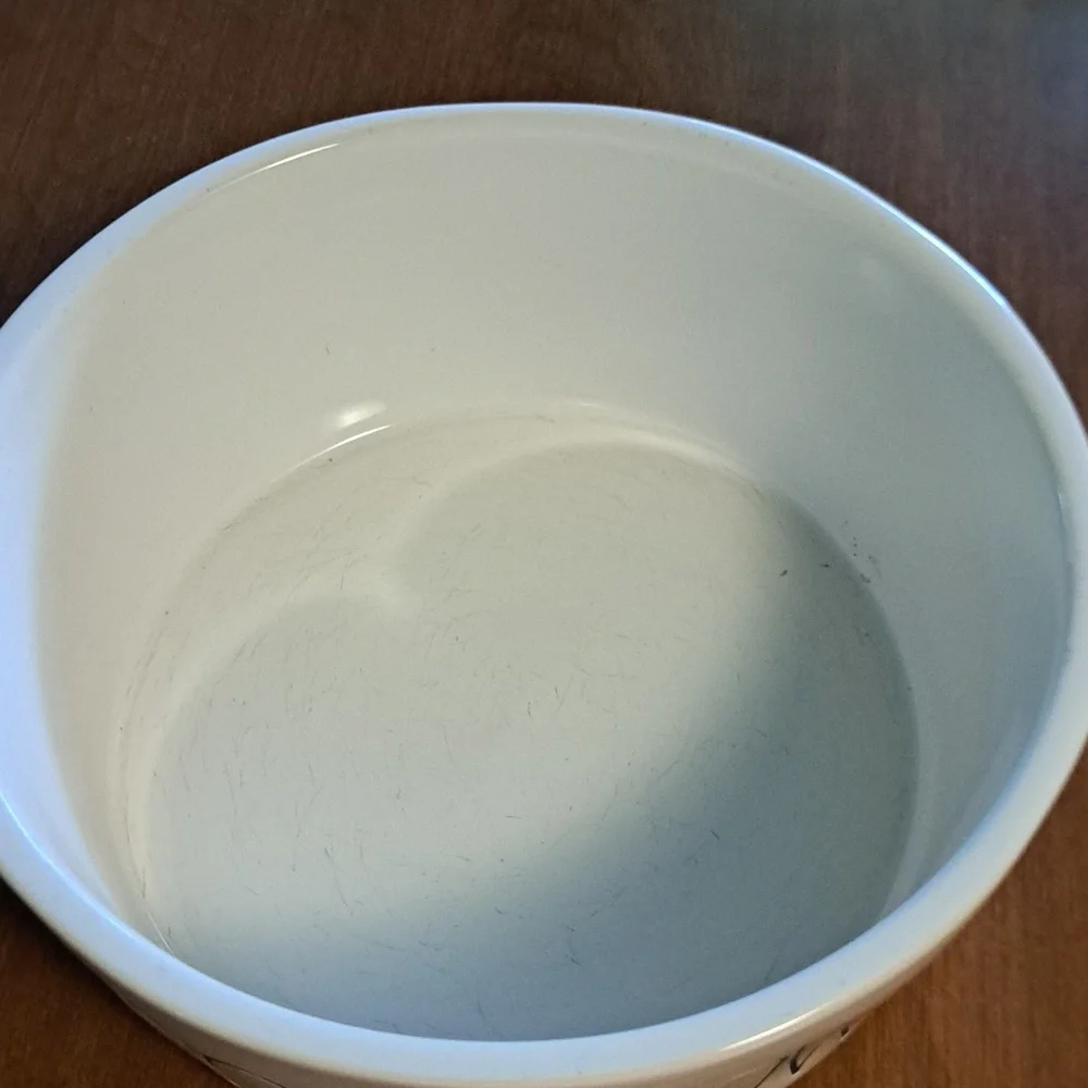Rae Dunn Artisan Collection Dog Ceramic Bowl